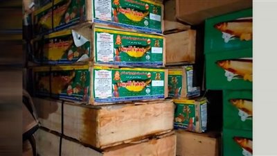 التحفظ على أسماك مجهولة المصدربالواسطى في بني سويف