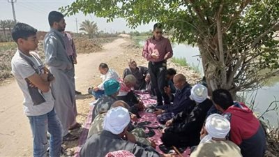 زراعة الشرقية تعقد يوم حصاد لمحصول الفول البلدي