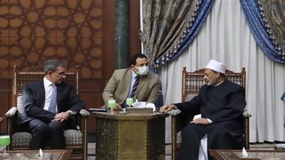 موقع إخباري إسبانية يسلِّط الضوء على تصريحات شيخ الأزهر خلال لقائه وفد البرلمان الأوروبي