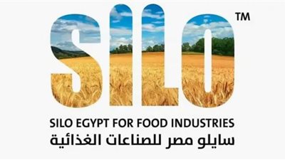 استاذ اقتصاد يستعرض جهود الدولة لتوطين الصناعات المتخصصة (شاهد)