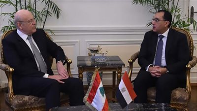 مدبولي: توجيهات رئاسية بسرعة إمداد لبنان بالغاز اللازم لتوليد الطاقة (فيديو)