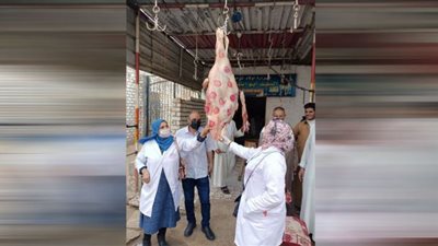 ضبط 535 كيلو جرام لحوم وأسماك ورنجة مخالفة خلال حملات تفتيشية بالشرقية