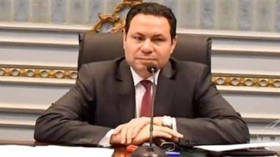 رئيس زراعة البرلمان: قرارات الرئيس تساعد علي مواجهة التحديات الاقتصادية