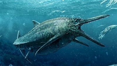 اكتشاف ضرس حيوان منقرض كان الأكبر على الكوكب