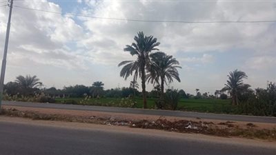 طقس مائل للبرودة بالمنيا