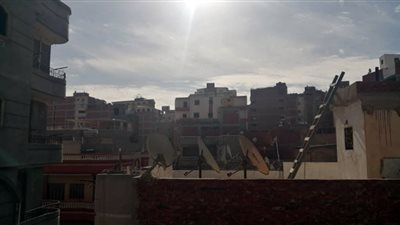 شمس ساطعة وسماء صافية وجو معتدل بالمنصورة