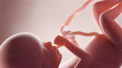 كيف يمكن لمعرفة نوع الجنين أن ينقذ حياة طفلك؟.. دراسة تكشف مفاجأة