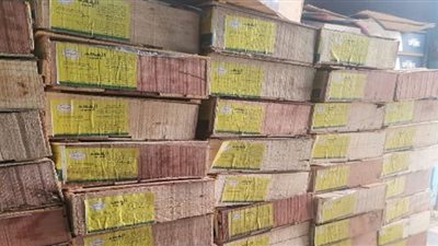 ضبط 1,5 طن أسماك مجهولة المصدر داخل مصنع للأسماك المدخنة بالشرقية