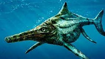 شبيه بالحوت.. اكتشاف إكثيوصور قديمًا في جبال الألب السويسرية