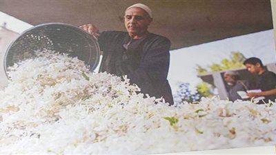 شبرا بلولة.. قرية الياسمين تنتج أكثر من 80% من عطور العالم
