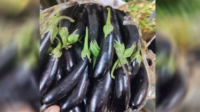 ارتفاع اسعار الخضروات والفاكهة بـ اسواق بني سويف