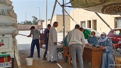 21 موقع لاستلام القمح بمحافظة كفر الشيخ