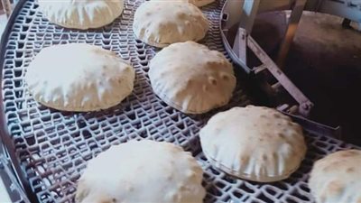 حملة تموينية مكبرة على المحلات التجارية والمخابز بالسنبلاوين في الدقهلية