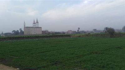 طقس غائم في قنا .. و المرور ينصح قائدى المركبات بتوخى الحذر