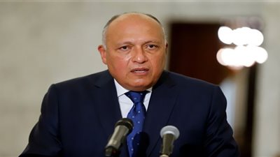 شكري يشارك في اجتماع آلية التشاور السياسي بين مصر ودول 