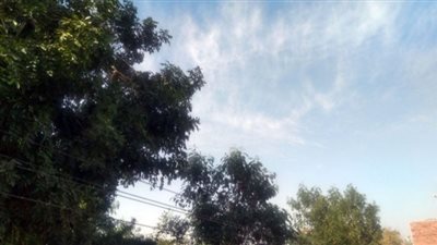 انخفاض في درجة الحرارة بأسوان