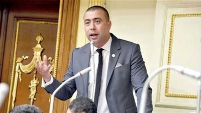 النائب أحمد بهاء شلبى منتقدا إهمال التعليم الفنى: أثر على قطاع الصناعة