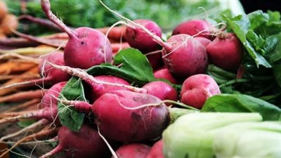 لهذا السبب.. هؤلاء ممنوعون من تناول الفجل