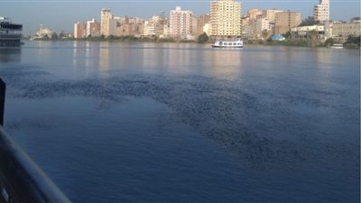 طقس حارأول أيام العيد بمحافظة الدقهلية
