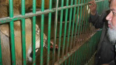 حدائق ومتنزهات بنى سويف تستقبل الأهالى لقضاء عيدالفطر المبارك