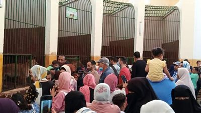 زحام شديد بحديقة الحيوان والمنتزهات بالإسكندرية