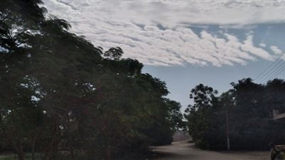 تعرف على حالة الطقس اليوم الأربعاء في أسوان