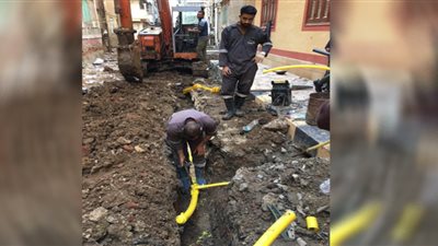 منال عوض: توصيل الغاز الطبيعي لمساكن إيواء أم العلا بفارسكور