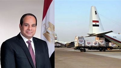 حصاد 2021| السيسي الإنسان يدعم العالم بمساعدات طبية وغذائية
