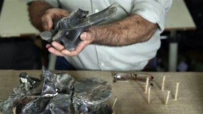 هذه البقايا تكشف مفاجأة قبل 70 مليون عام في الأرجنتين