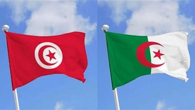 الرئيس الجزائري يجري محادثات رسمية مع نظيره التونسي