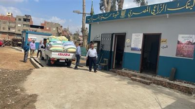 رئيس مدينة سمنود يفتتح موسم توريد القمح
