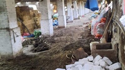 التصدي لمحاولة بناء خارج الحيز العمراني بالجديدة