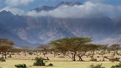 السيول تضرب مدينة شلاتين جنوب البحر الأحمر