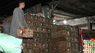 أسعار الخضر والفاكهة بالفيوم الطماطم بـ 20 جنيهًا والفلفل الروم 10 جنيهات للكيلو
