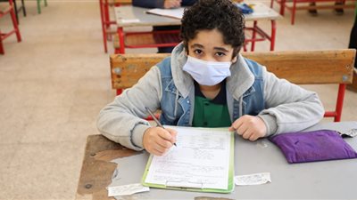 شاهد| مراجعة ليلة الامتحان في 