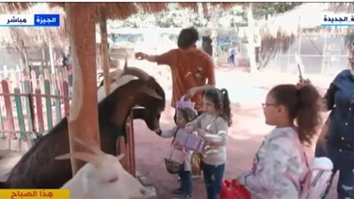 إقبال المواطنين على حديقة الحيوان للاحتفال خلال أيام الإجازة.. شاهد