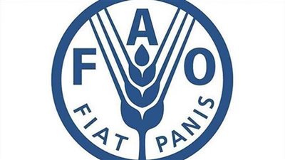الفاو: تراجع أسعار المواد الغذائية بشكل طفيف في أبريل