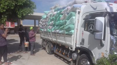 انتظام توريد محصول القمح بشوان و صوامع الغربية