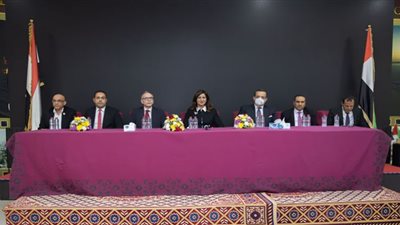 عمرو عباس: وزارة الهجرة تبذل جهدًا كبيرًا في تلبية احتياجات المصريين بالخارج