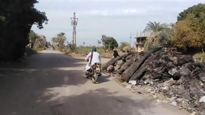 صور.. الإهمال 