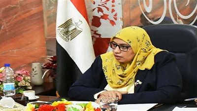 نائب محافظ أسوان يكشف تفاصيل العمل في تطبيق 