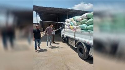 مواقع التخزين بالغربية تستقبل 4597 طنا من القمح المحلى