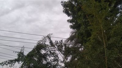 تعرف على حالة الطقس اليوم السبت بأسوان