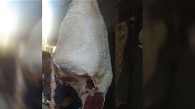 ضبط 101 كيلو لحوم مجهولة المصدر فى حملة تموينية بمنيا القمح