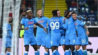 نابولى ينتزع فوزًا ثمينًا أمام تورينو بالدورى الإيطالى