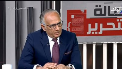 أستاذ اقتصاد دولي: الاقتصاد المصري قوي وقادر على مواجهة الصدمات الخارجية