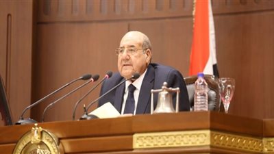 عبد الرازق يفتتح الجلسة العامة لمجلس الشيوخ