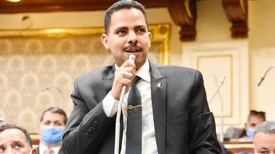 ناعيًا شهداء غرب سيناء.. زعيم الأغلبية: دماء الشهداء الذكية والطاهرة ستظل نارًا ونورًا