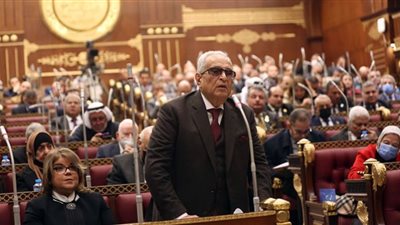 أبو شقة: قانون المسنين يتماشى مع المشروع الوطني الذي يتبناه الرئيس السيسي لبناء دولة عصرية حديثة