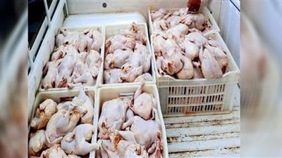 ضبط 3 طن دواجن مجهولة المصدر بالجيزة